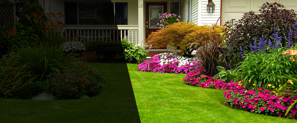 Waveland Landscapers