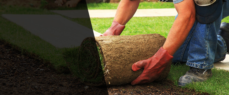 Waveland Landscapers